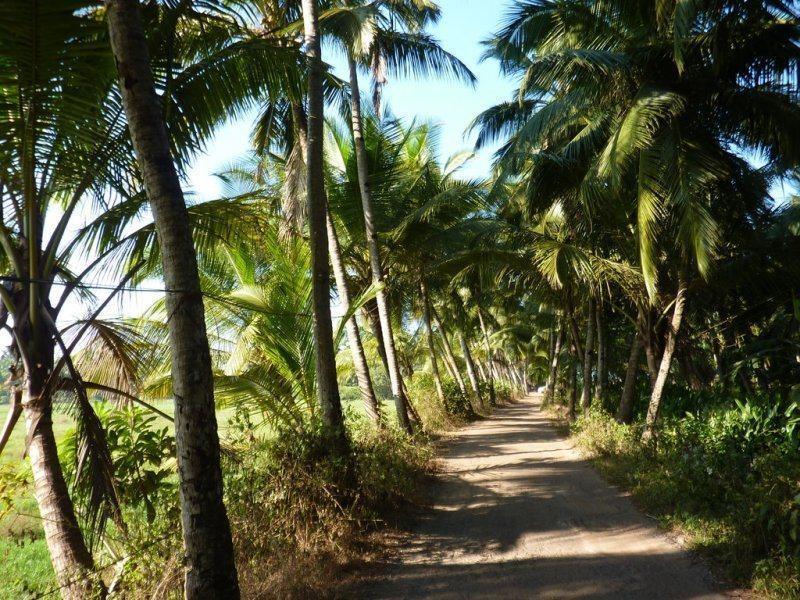 Coconut Grove Beach Resort Colva Extérieur photo